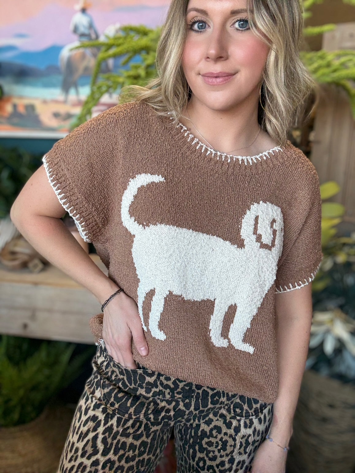 Western steer graphic knit boutique top brown short sleeve stylish women's clothing Springfield MO